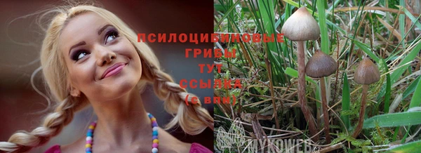 гидропоника Абинск