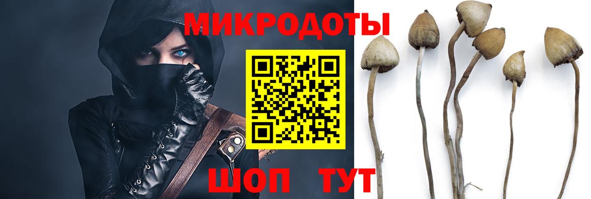 Галлюциногенные грибы мухоморы  Вход с VPN  продажа наркотиков  Норильск  Псилоцибиновые грибы мицелий 